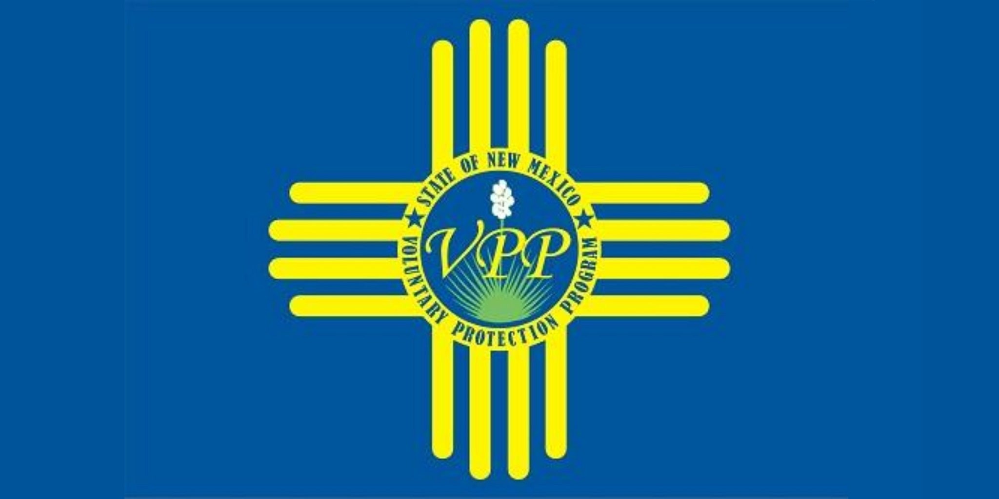 VPPStore_223217 NM Star Site Banner