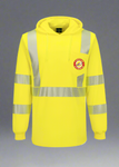 DTF Print Hi-Vis Lightweight Hooded T-Shirt Long Sleeve  #404943