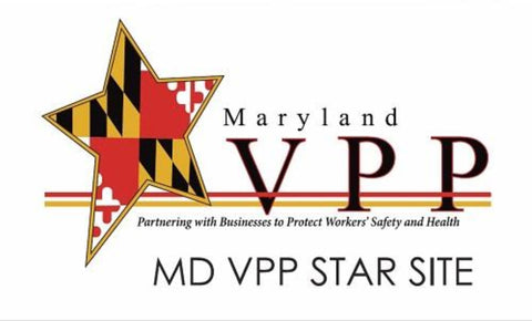 Maryland Star Site Banner - #223217MD