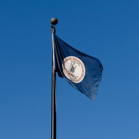Virginia Outdoor State Flag - #402836