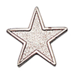 Star Pin (Available in Gold, Silver, Bronze)- #403670