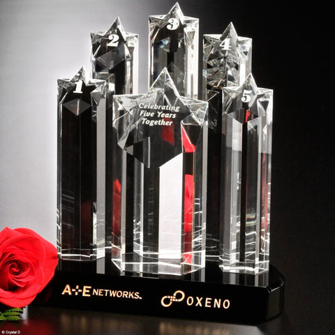 Prominence Award - #403889