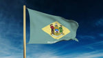 Delaware Outdoor State Flag - #402798