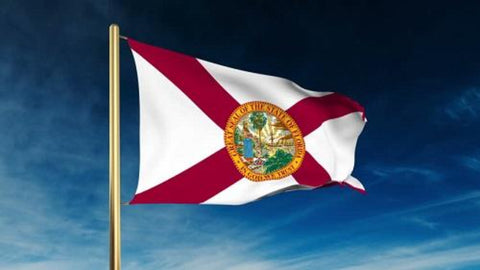 Florida Outdoor State Flag - #402799