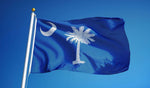 South Carolina Outdoor State Flag - #402830