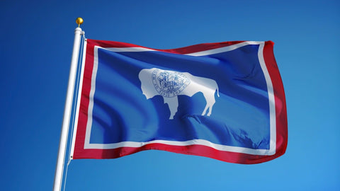 Wyoming Outdoor State Flag - #402840