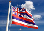 Hawaii Outdoor State Flag - #402801