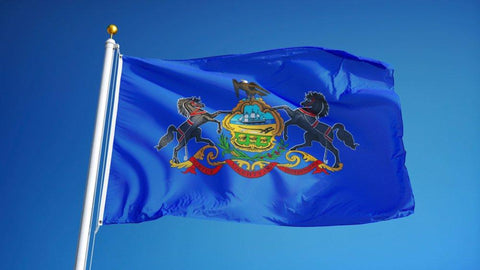 Pennsylvania Outdoor State Flag - #402828