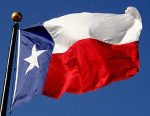 Texas Outdoor State Flag - #402833